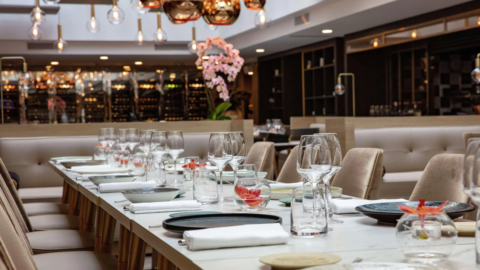 Hotel Niepce Paris, Curio Collection By Hilton 4*
